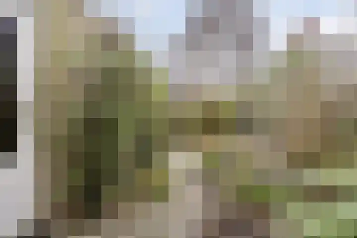 Chopinstraat 201 Capelle aan den IJssel thumbnail 26