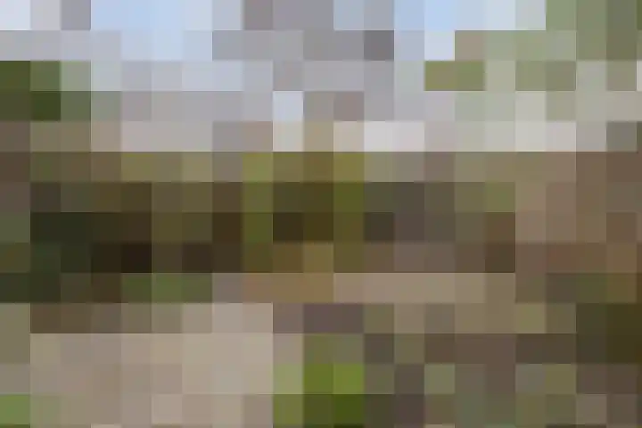 Chopinstraat 201 Capelle aan den IJssel thumbnail 27