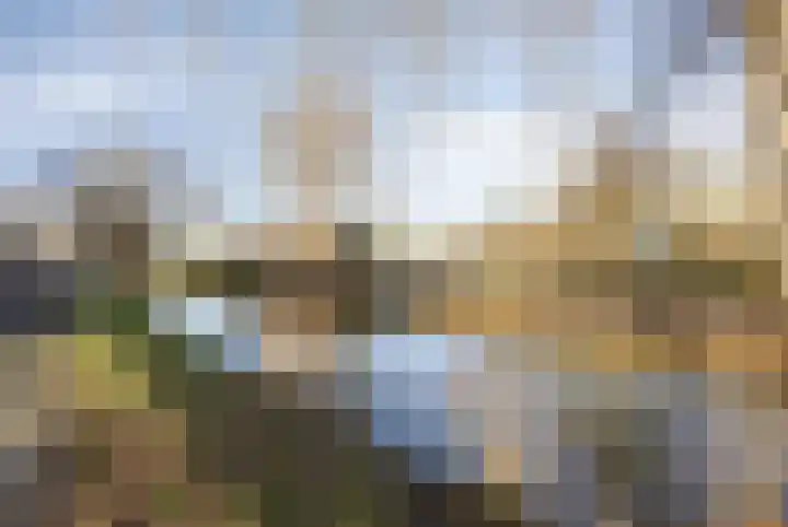 Chopinstraat 201 Capelle aan den IJssel thumbnail 36
