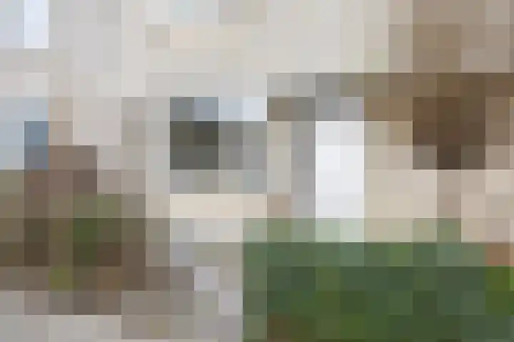Chopinstraat 201 Capelle aan den IJssel thumbnail 4