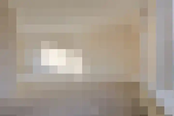 Chopinstraat 201 Capelle aan den IJssel thumbnail 8