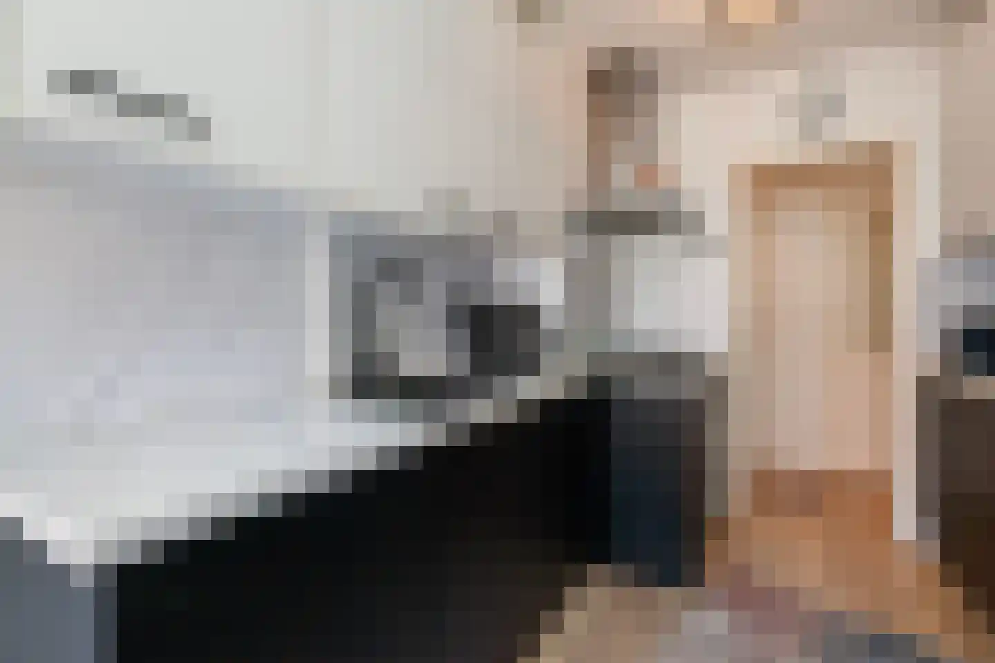 Chopinstraat 21 B Vlaardingen thumbnail 18
