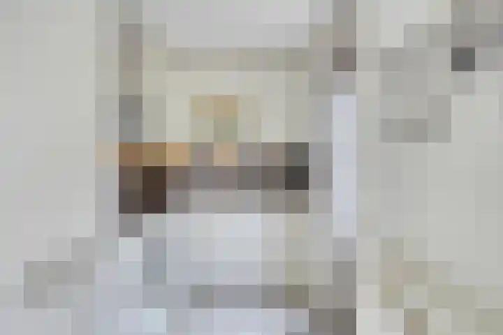 Chopinstraat 22 Capelle aan den IJssel thumbnail 13