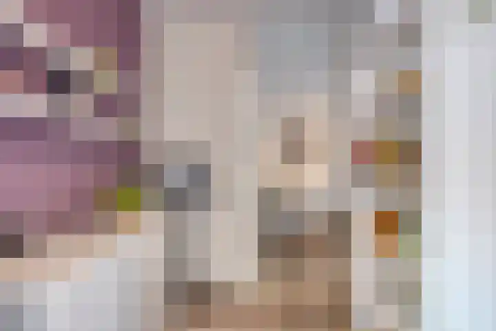 Chopinstraat 22 Capelle aan den IJssel thumbnail 16