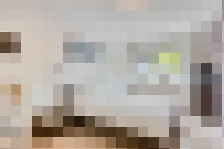 Chopinstraat 22 Capelle aan den IJssel thumbnail 17