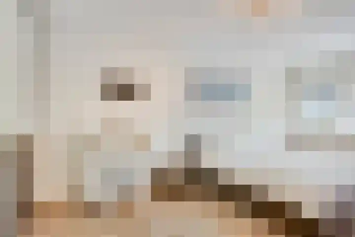 Chopinstraat 22 Capelle aan den IJssel thumbnail 18