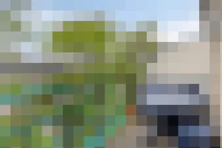 Chopinstraat 22 Capelle aan den IJssel thumbnail 21