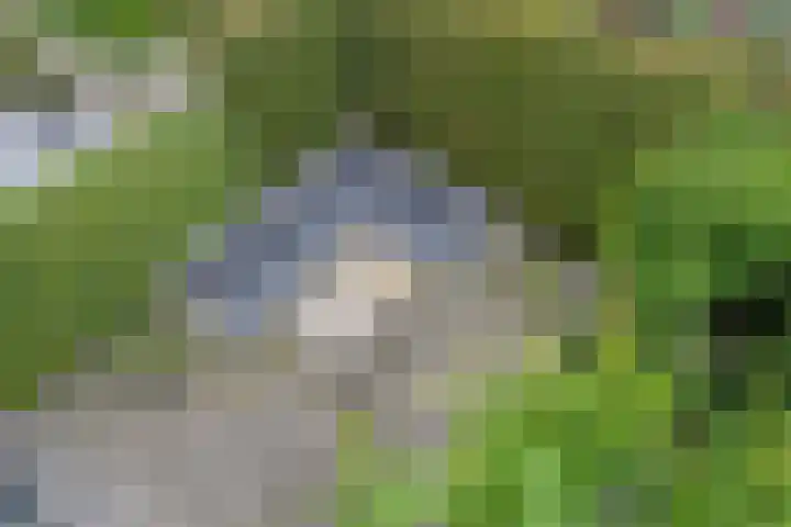 Chopinstraat 22 Capelle aan den IJssel thumbnail 22