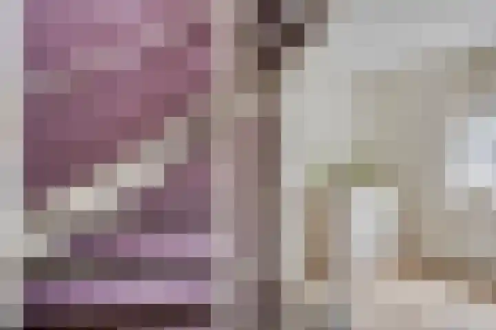 Chopinstraat 22 Capelle aan den IJssel thumbnail 23