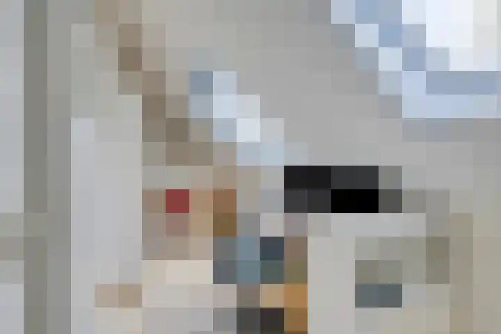Chopinstraat 22 Capelle aan den IJssel thumbnail 25