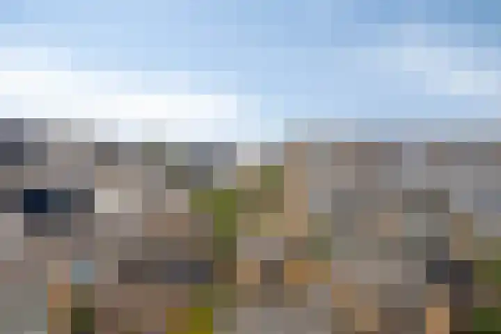 Chopinstraat 22 Capelle aan den IJssel thumbnail 28