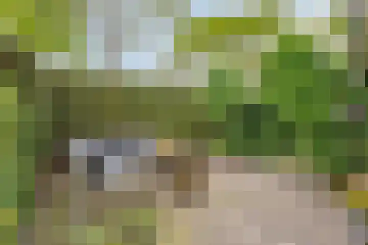 Chopinstraat 22 Capelle aan den IJssel thumbnail 29