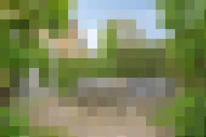 Chopinstraat 22 Capelle aan den IJssel thumbnail 30
