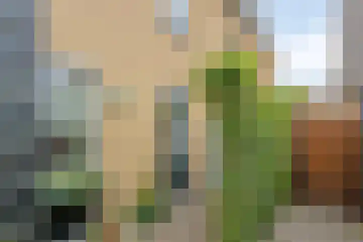 Chopinstraat 22 Capelle aan den IJssel thumbnail 32