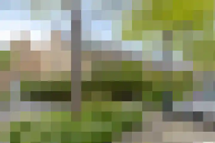 Chopinstraat 22 Capelle aan den IJssel thumbnail 34