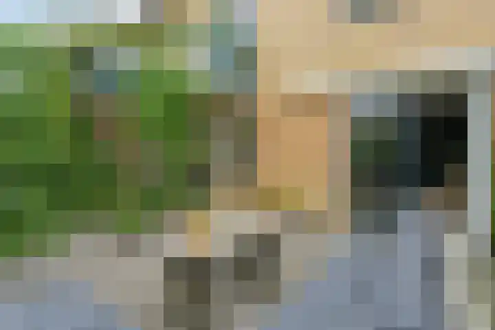 Chopinstraat 22 Capelle aan den IJssel thumbnail 4