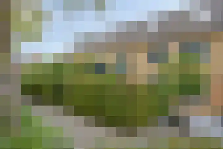 Chopinstraat 22 Capelle aan den IJssel thumbnail 6
