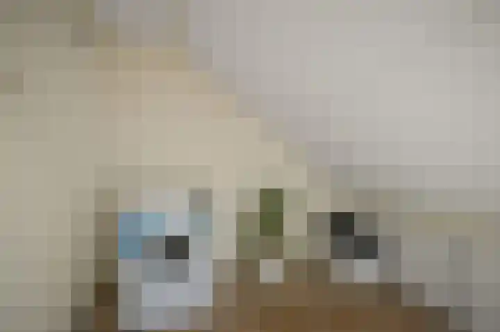Chopinstraat 23 Akersloot thumbnail 33
