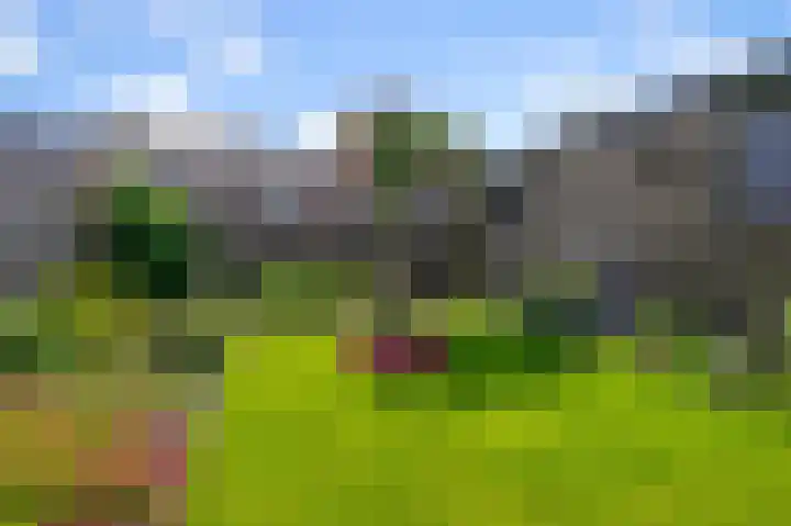 Chopinstraat 23 Akersloot thumbnail 34