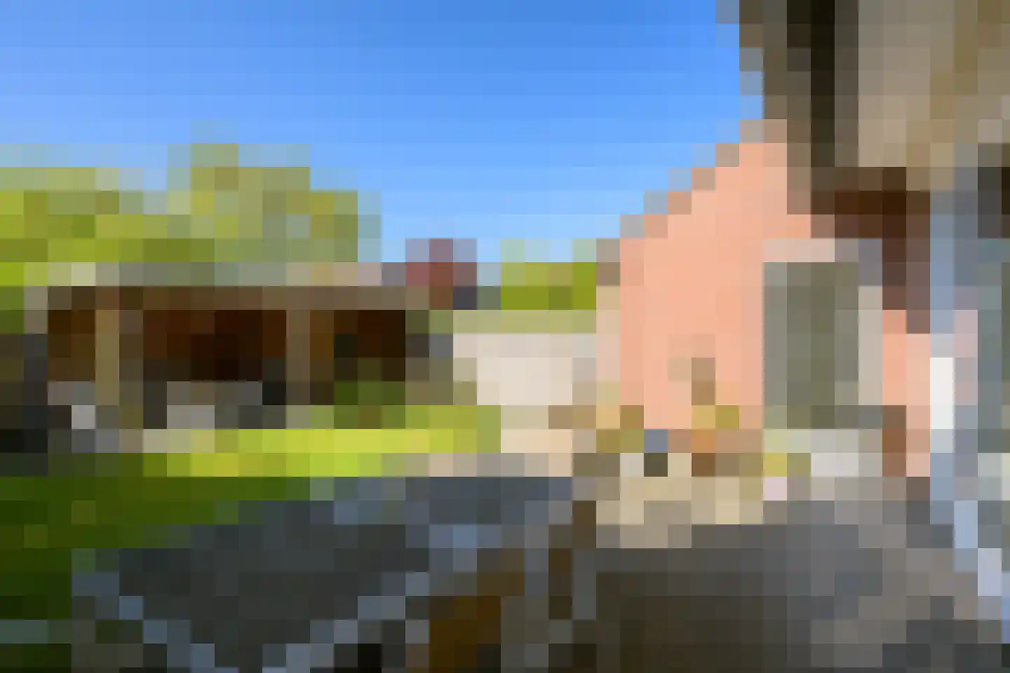 Chopinstraat 23 Breda thumbnail 31