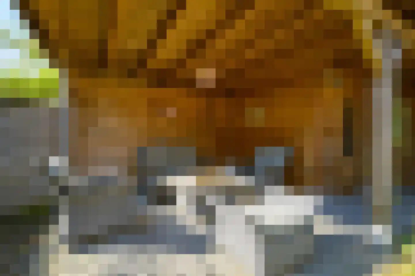 Chopinstraat 23 Breda thumbnail 38