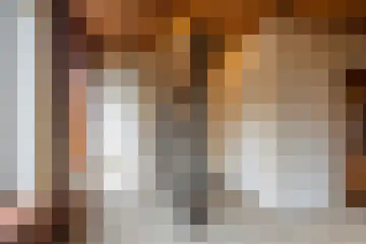 Chopinstraat 23 C Vlaardingen thumbnail 13