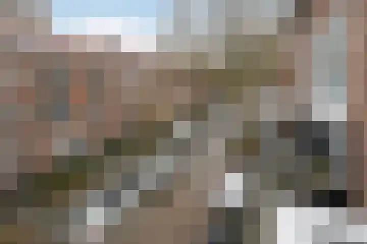 Chopinstraat 23 C Vlaardingen thumbnail 21