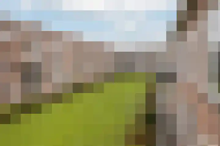 Chopinstraat 23 C Vlaardingen thumbnail 27