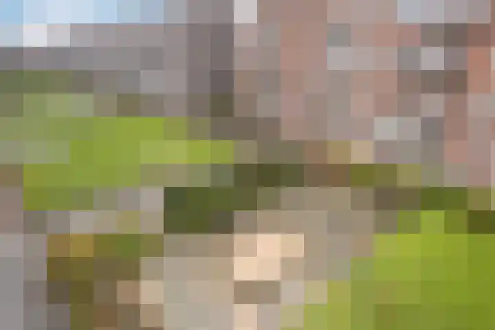 Chopinstraat 23 C Vlaardingen thumbnail 28