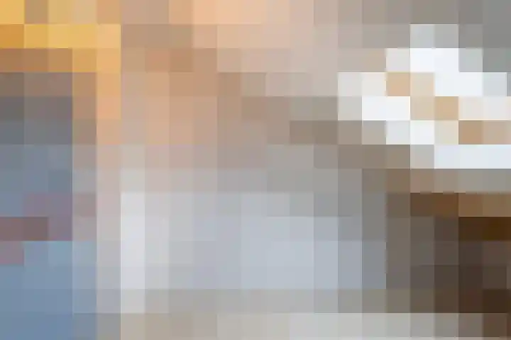 Chopinstraat 23 C Vlaardingen thumbnail 34
