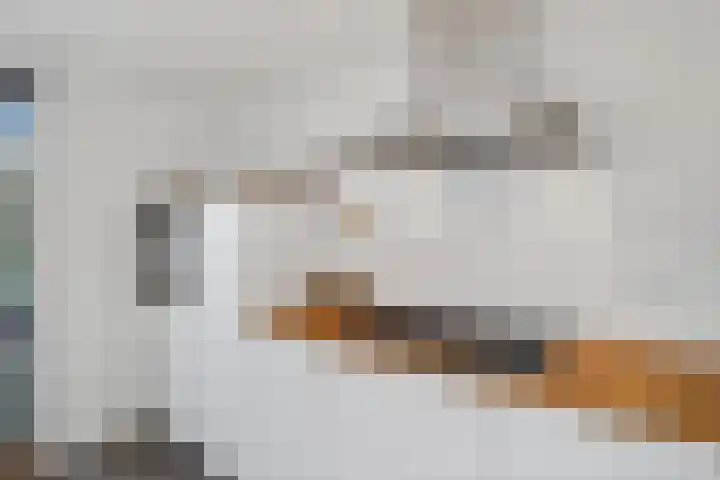 Chopinstraat 27 Schijndel thumbnail 15