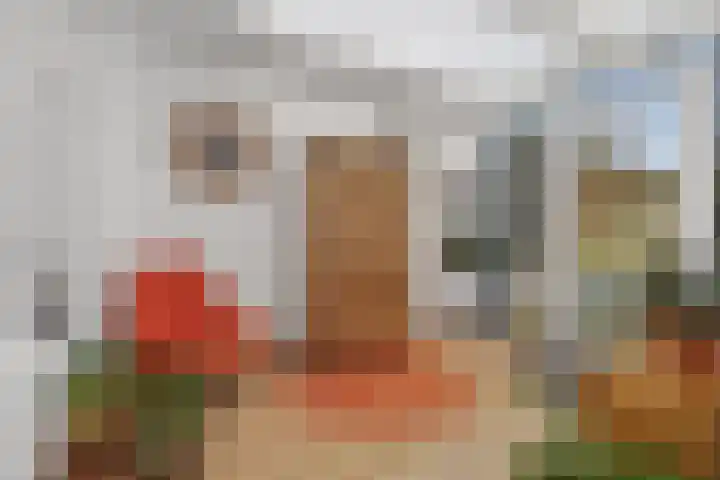 Chopinstraat 27 Schijndel thumbnail 18