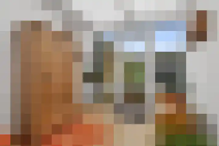 Chopinstraat 27 Schijndel thumbnail 19
