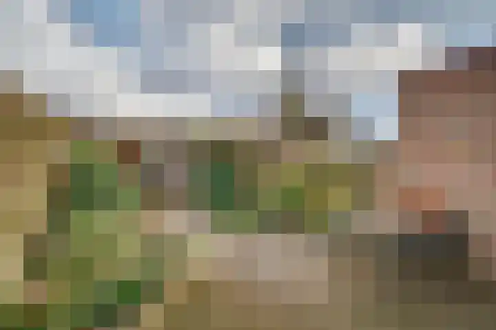 Chopinstraat 27 Schijndel thumbnail 20