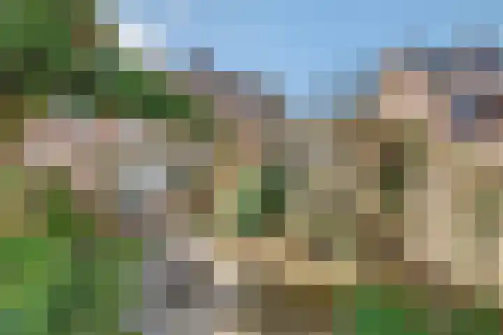 Chopinstraat 27 Schijndel thumbnail 23