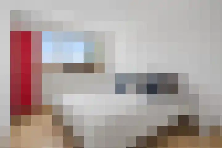 Chopinstraat 27 Schijndel thumbnail 25