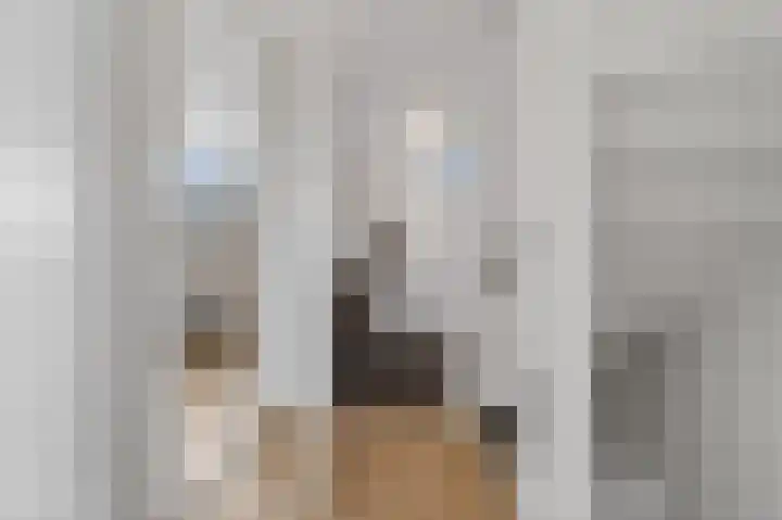 Chopinstraat 27 Schijndel thumbnail 27