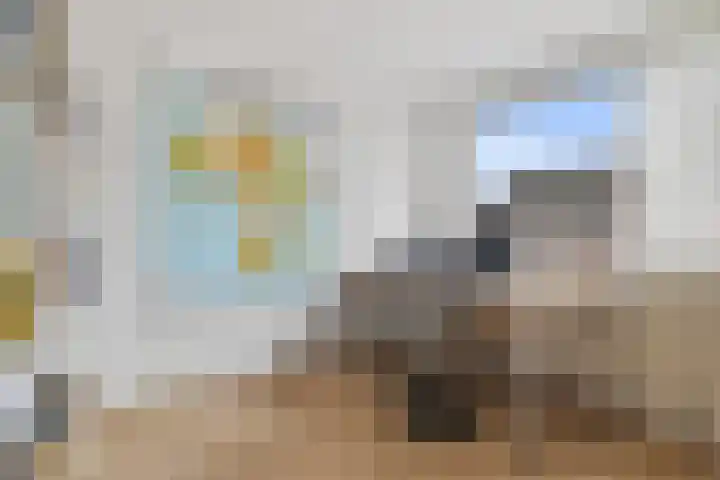 Chopinstraat 27 Schijndel thumbnail 28