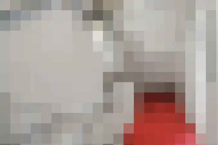 Chopinstraat 27 Schijndel thumbnail 37