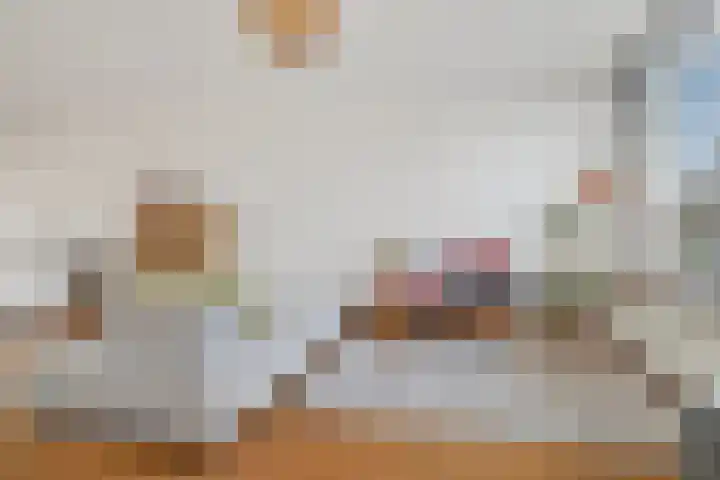 Chopinstraat 27 Schijndel thumbnail 4