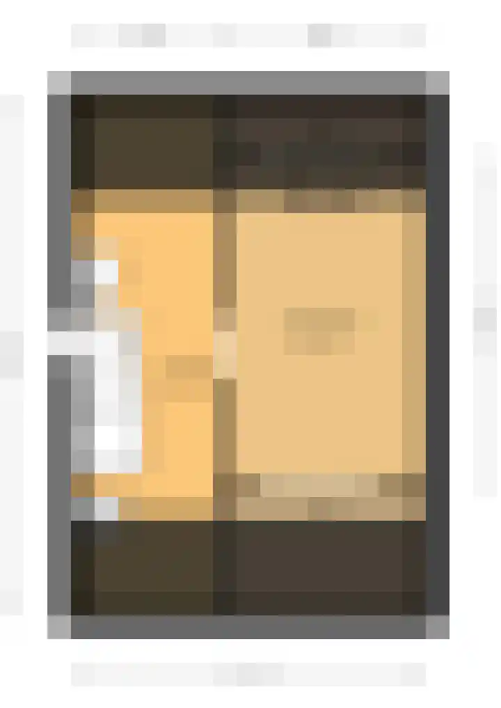 Chopinstraat 27 Schijndel thumbnail 48