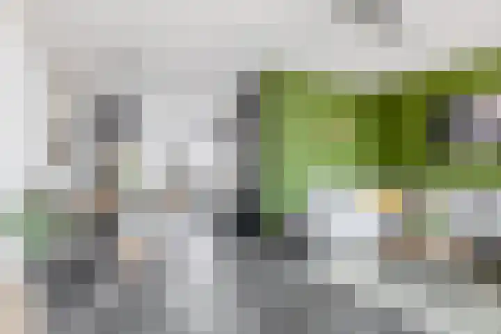 Chopinstraat 28 Schijndel thumbnail 10