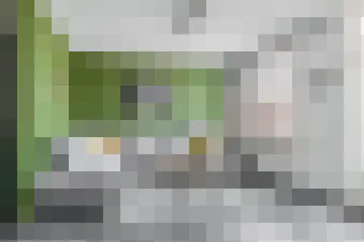 Chopinstraat 28 Schijndel thumbnail 11