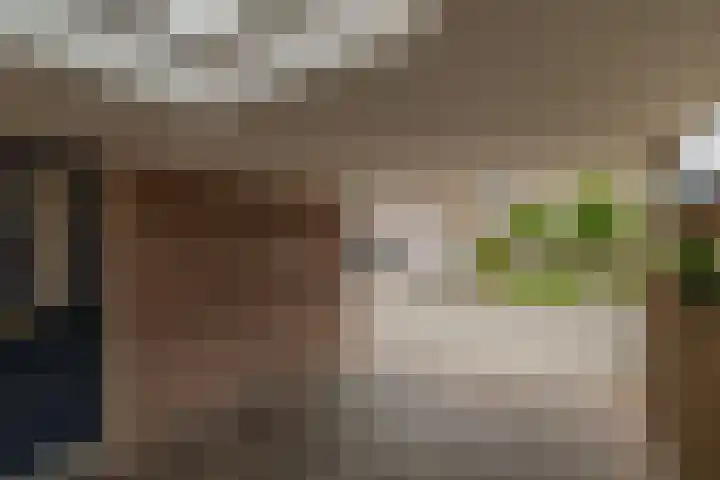 Chopinstraat 28 Schijndel thumbnail 32