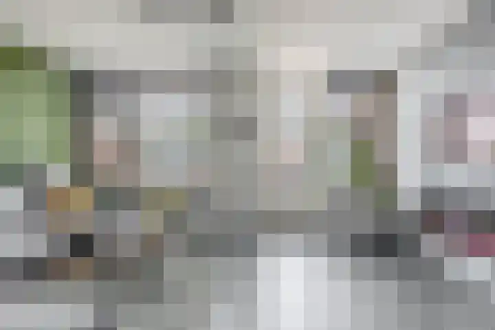 Chopinstraat 28 Schijndel thumbnail 4
