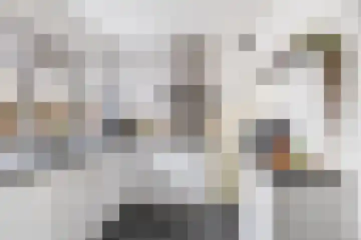 Chopinstraat 28 Schijndel thumbnail 6