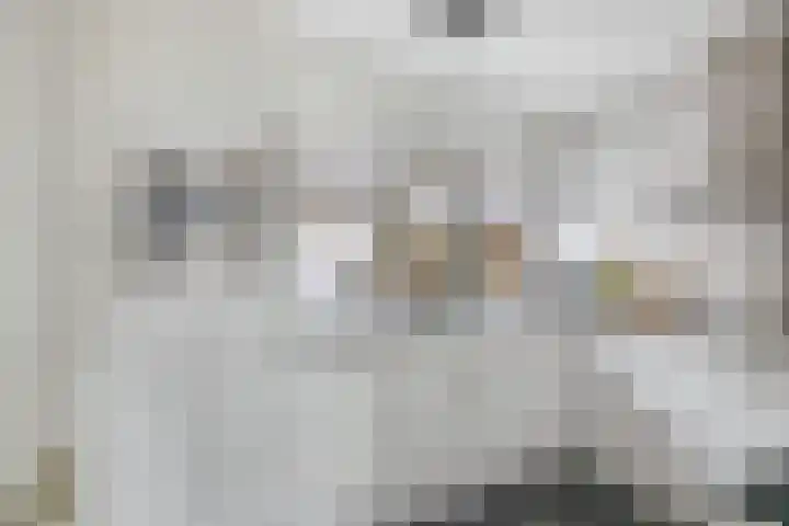 Chopinstraat 28 Schijndel thumbnail 7