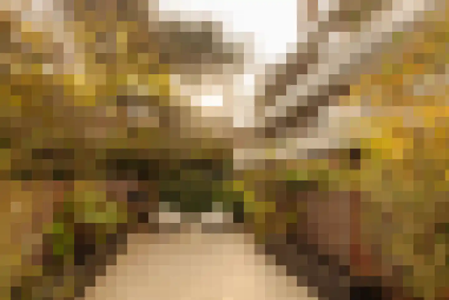 Chopinstraat 29 Amsterdam thumbnail 12