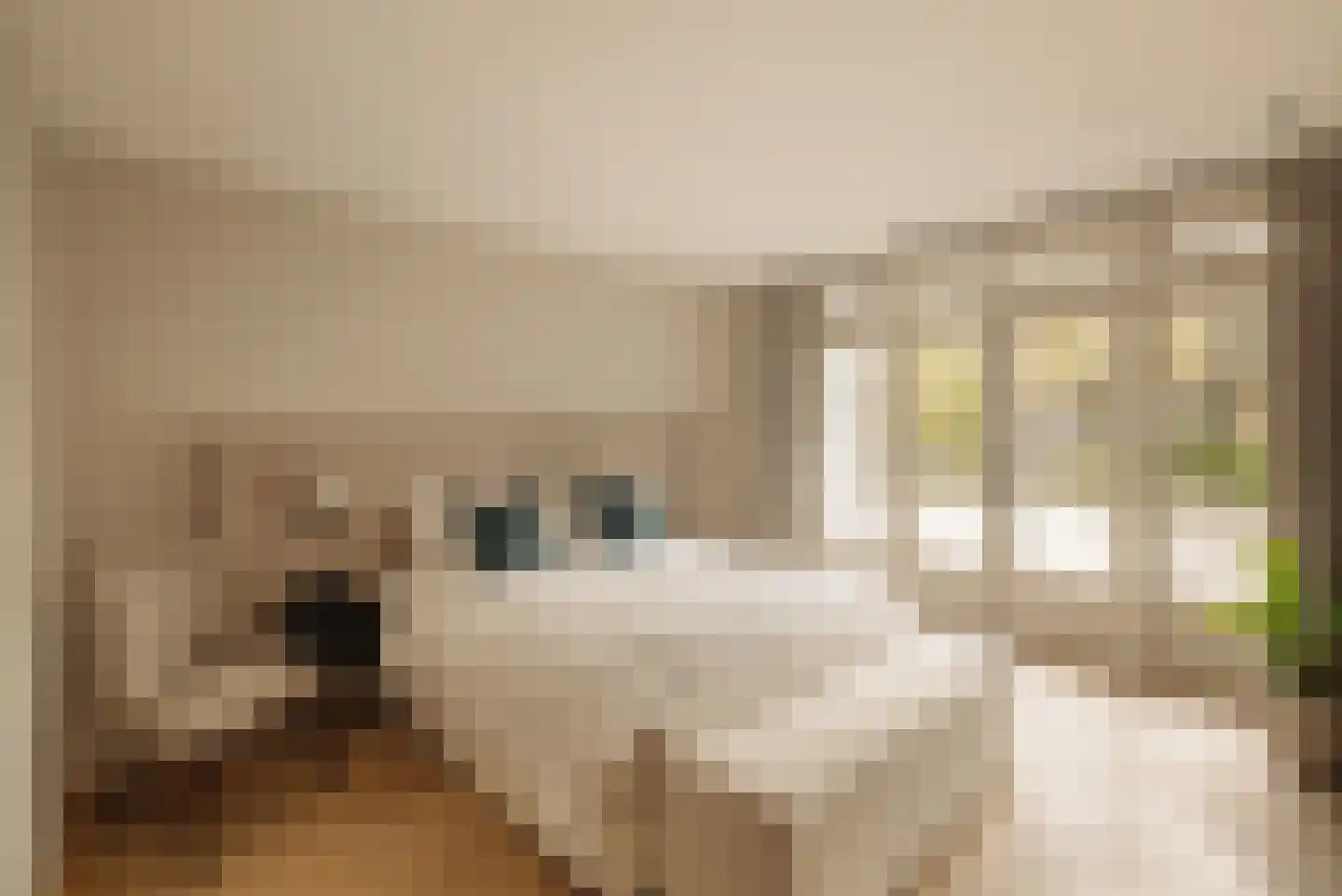 Chopinstraat 29 Amsterdam thumbnail 19