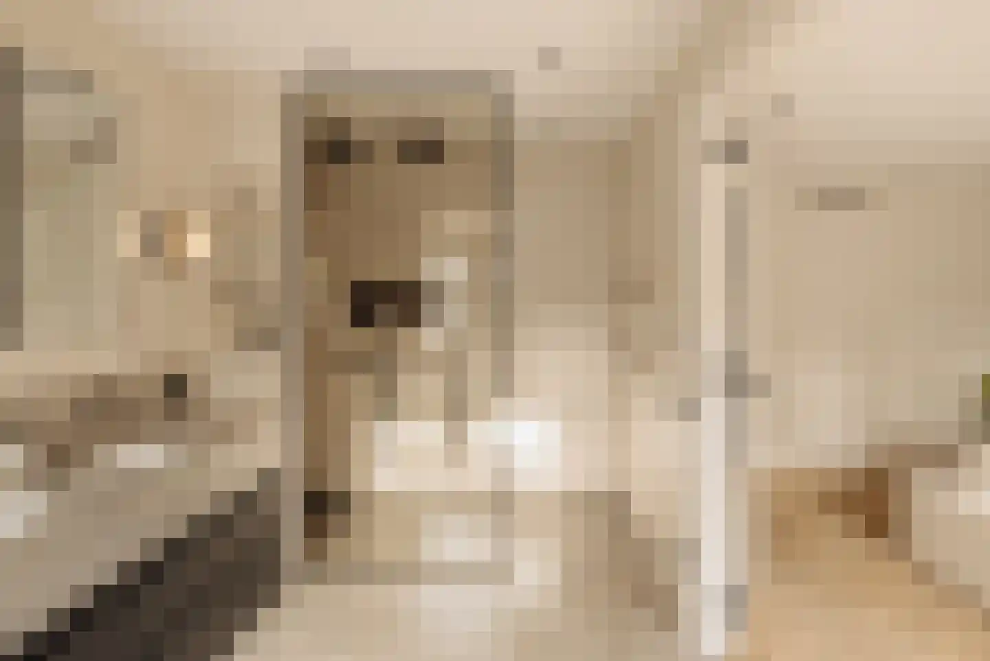 Chopinstraat 29 Amsterdam thumbnail 25